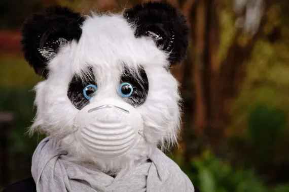 カジノ キャバレー クラブ サポート